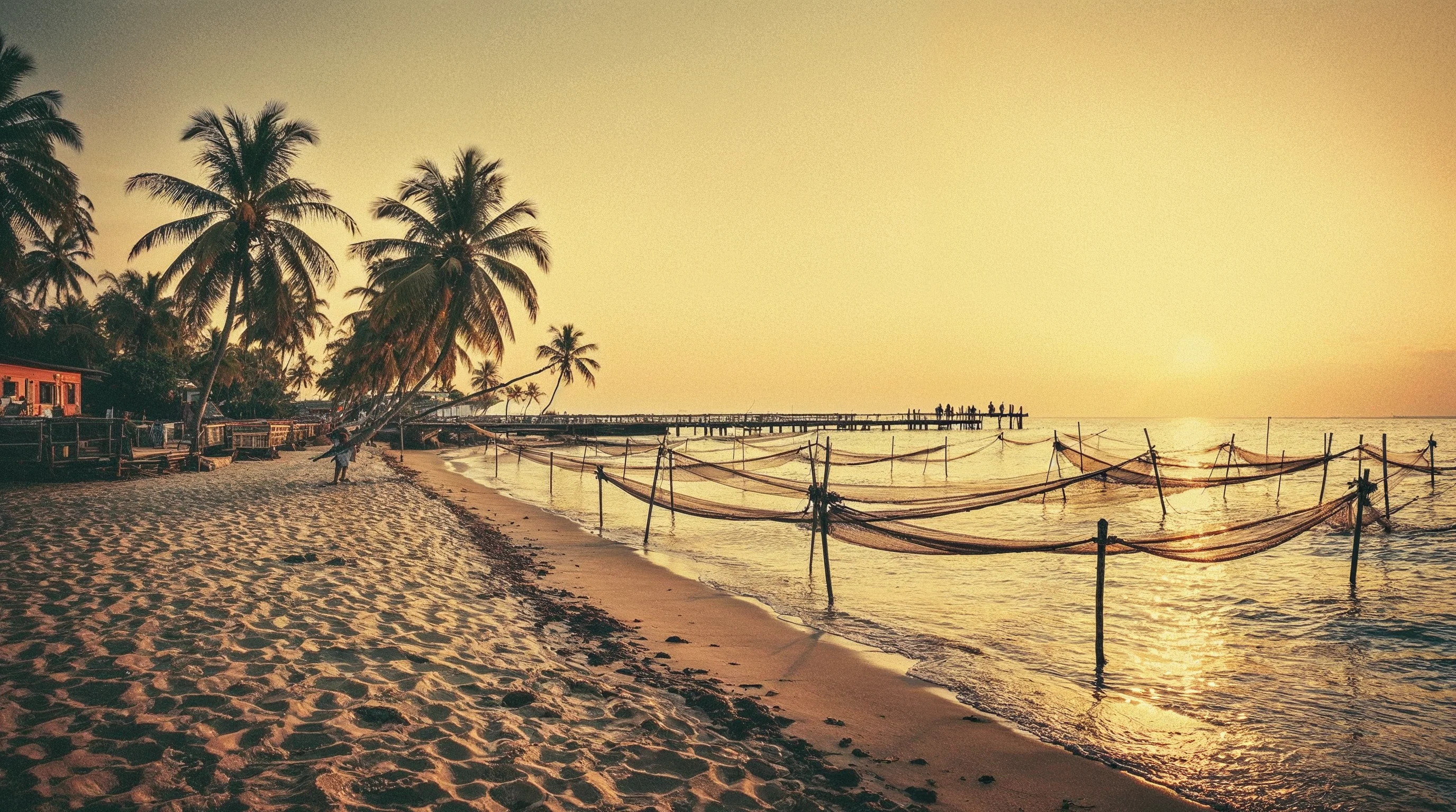 Web development in Pattaya